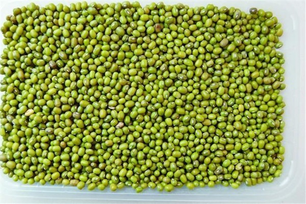 綠豆保質期多久 綠豆保質期過了能吃嗎 綠豆保質期多久 綠豆保質期過了能吃嗎