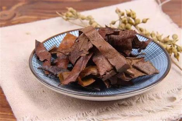 枇杷葉對胃部有刺激嗎 枇杷葉能治胃病嗎 枇杷葉對胃部有刺激嗎 枇杷葉能治胃病嗎