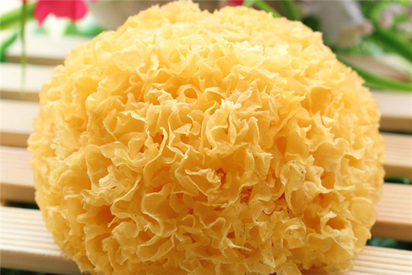 銀耳泡多久好 銀耳泡久了會(huì)有毒嗎 銀耳泡多久好 銀耳泡久了會(huì)有毒嗎