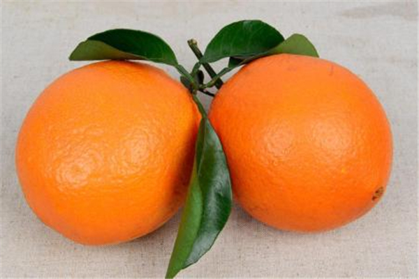 橙子和橘子的區(qū)別 橙子和橘子哪個容易上火 橙子和橘子的區(qū)別 橙子和橘子哪個容易上火