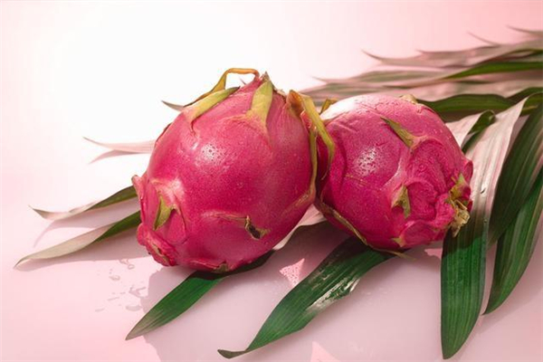 火龍果降血壓?jiǎn)?火龍果降血壓效果好嗎 火龍果降血壓?jiǎn)?火龍果降血壓效果好嗎