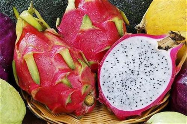 火龍果怎么辨別好壞 火龍果怎么挑選 火龍果怎么辨別好壞 火龍果怎么挑選