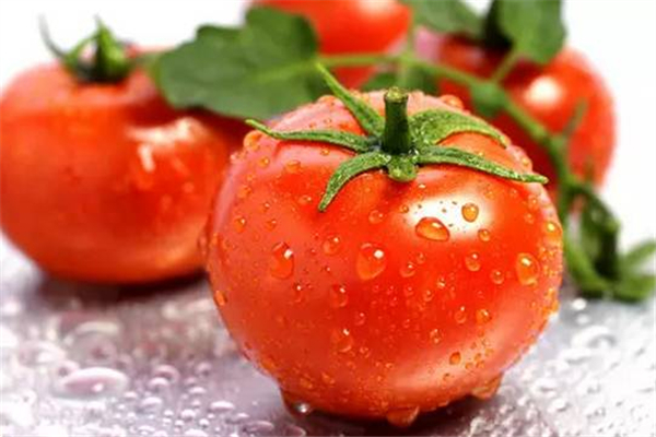 西紅柿寶寶能吃嗎 西紅柿寶寶幾個(gè)月可以吃 西紅柿寶寶能吃嗎 西紅柿寶寶幾個(gè)月可以吃
