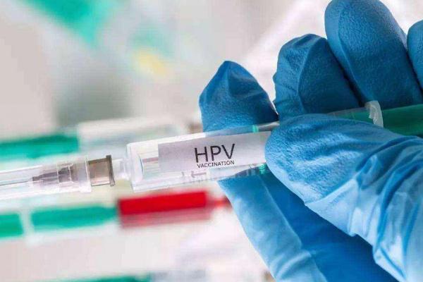 孕期可以接種新冠疫苗嗎 孕期可以接種hpv疫苗嗎 孕期可以接種新冠疫苗嗎 孕期可以接種hpv疫苗嗎