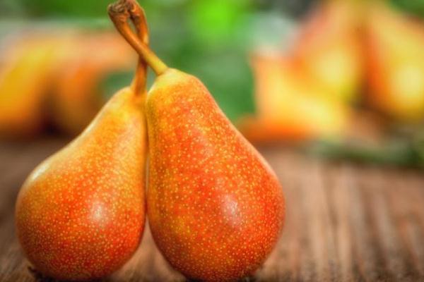 梨子可以和牛奶一起吃嗎 為什么牛奶和梨一起吃拉肚子 梨子可以和牛奶一起吃嗎 為什么牛奶和梨一起吃拉肚子