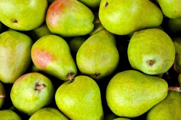 梨子有點(diǎn)酸是壞了嗎 梨子有點(diǎn)酸了還能吃嗎 梨子有點(diǎn)酸是壞了嗎 梨子有點(diǎn)酸了還能吃嗎