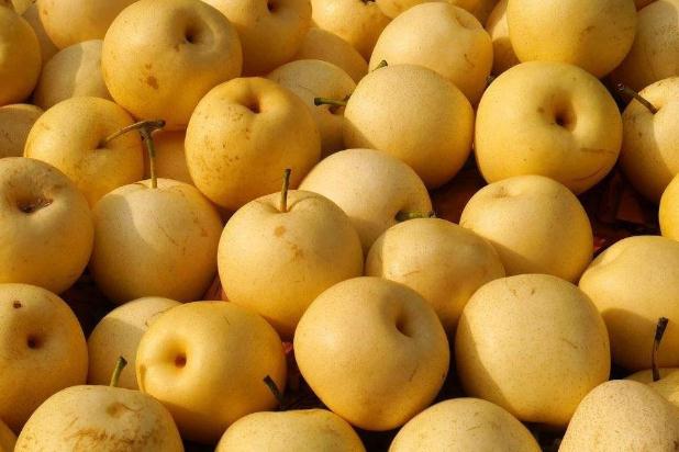 梨子熱量高嗎 減肥期間可以吃梨子嗎 梨子熱量高嗎 減肥期間可以吃梨子嗎