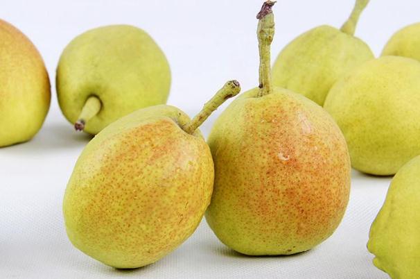 梨子有點爛了可以吃嗎 吃了爛梨子會怎樣 梨子有點爛了可以吃嗎 吃了爛梨子會怎樣
