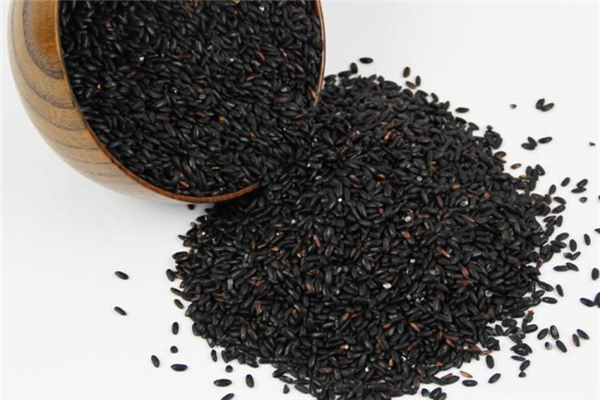 黑米小孩能吃嗎 黑米多大寶寶能吃 黑米小孩能吃嗎 黑米多大寶寶能吃