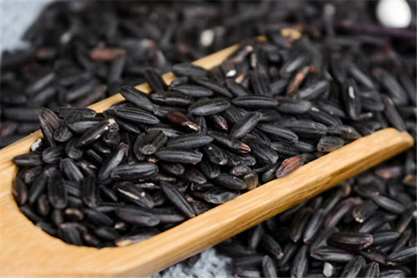 黑米胃不好能吃嗎 黑米養(yǎng)胃還是傷胃 黑米胃不好能吃嗎 黑米養(yǎng)胃還是傷胃