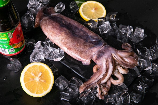 魷魚怎么看新不新鮮 魷魚怎么挑選 魷魚怎么看新不新鮮 魷魚怎么挑選