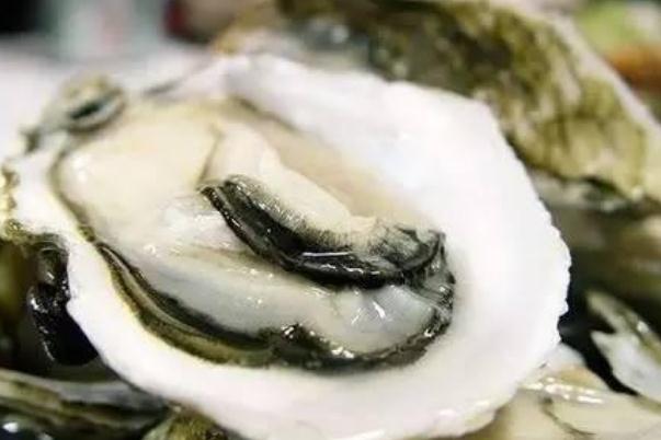生蠔要吐沙嗎 生蠔怎么吐沙子又干凈又快 生蠔要吐沙嗎 生蠔怎么吐沙子又干凈又快