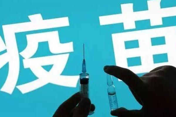 打新冠疫苗后多久可以吃海鮮 打完新冠疫苗之后為什么不能吃海鮮 打新冠疫苗后多久可以吃海鮮 打完新冠疫苗之后為什么不能吃海鮮