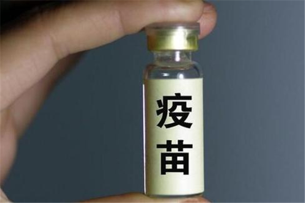 接種新冠疫苗后要多喝水嗎 接種新冠疫苗前要空腹嗎 接種新冠疫苗后要多喝水嗎 接種新冠疫苗前要空腹嗎