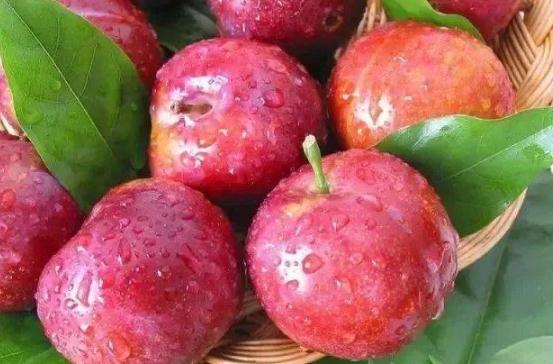 李子可以和橘子一起吃嗎 李子不可以和什么同食 李子可以和橘子一起吃嗎 李子不可以和什么同食