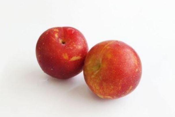 李子可以空腹吃嗎 空腹吃李子的危害 李子可以空腹吃嗎 空腹吃李子的危害