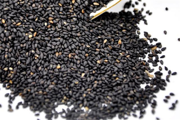 黑芝麻怎么辨別真假 黑芝麻變質了什么樣 黑芝麻怎么辨別真假 黑芝麻變質了什么樣