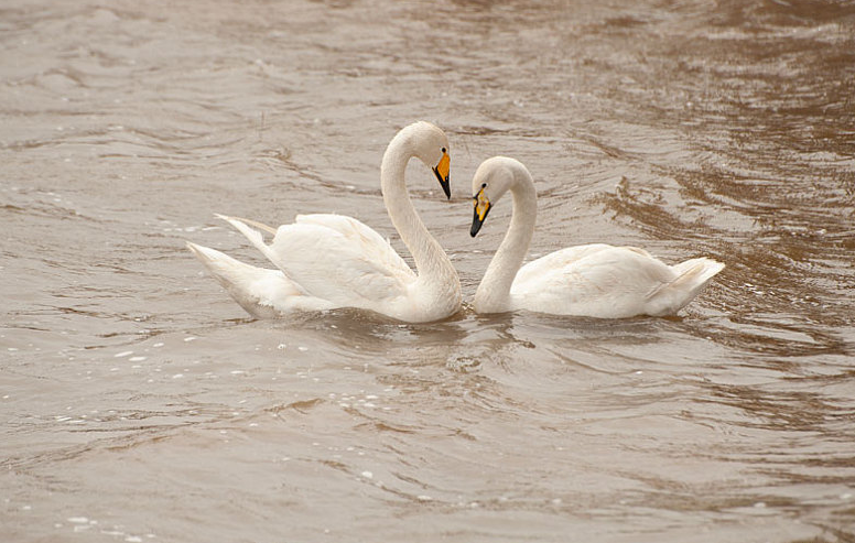 男人真的靠得住嗎 女人還是要學(xué)會獨(dú)立 男人真的靠得住嗎 女人還是要學(xué)會獨(dú)立
