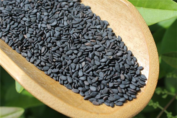 黑芝麻可以改善白發(fā)嗎 黑芝麻怎么吃治白頭發(fā) 黑芝麻可以改善白發(fā)嗎 黑芝麻怎么吃治白頭發(fā)