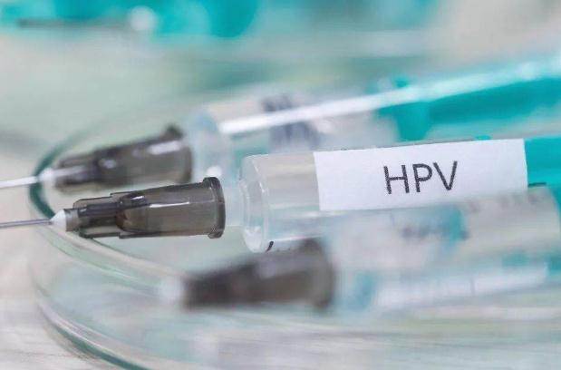 hpv疫苗懷孕致畸 hpv疫苗懷孕可以打嗎 hpv疫苗懷孕致畸 hpv疫苗懷孕可以打嗎