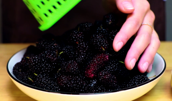 桑葚酒泡多久是最佳飲用時(shí)間 桑葚酒釀制作方法步驟 桑葚酒泡多久是最佳飲用時(shí)間 桑葚酒釀制作方法步驟