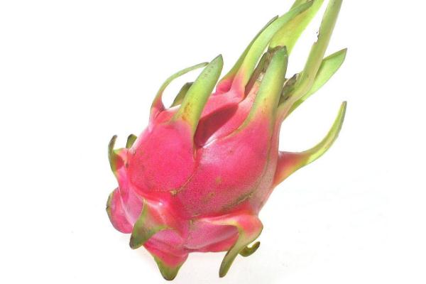 吃火龍果有助于減肥嗎 減肥怎么吃火龍果 吃火龍果有助于減肥嗎 減肥怎么吃火龍果