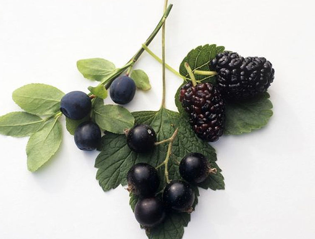 桑葚泡的酒能保質(zhì)期多少時(shí)間 桑葚泡的酒的功效與作用 桑葚泡的酒能保質(zhì)期多少時(shí)間 桑葚泡的酒的功效與作用