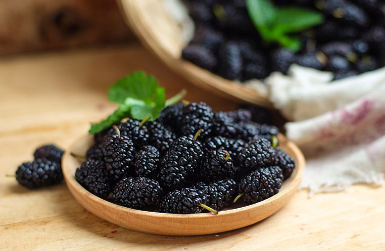 桑葚酒與什么食物相克 桑葚酒與葡萄酒的對(duì)比 桑葚酒與什么食物相克 桑葚酒與葡萄酒的對(duì)比