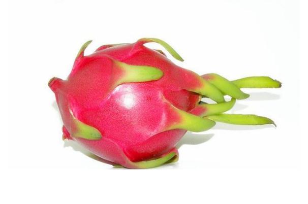 吃火龍果拉肚子是什么原因 吃火龍果對身體有什么好處 吃火龍果拉肚子是什么原因 吃火龍果對身體有什么好處