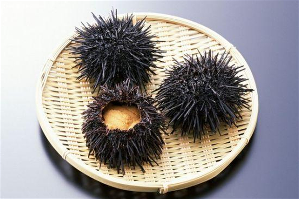 海膽是動(dòng)物還是植物 海膽吃的是哪個(gè)部位 海膽是動(dòng)物還是植物 海膽吃的是哪個(gè)部位