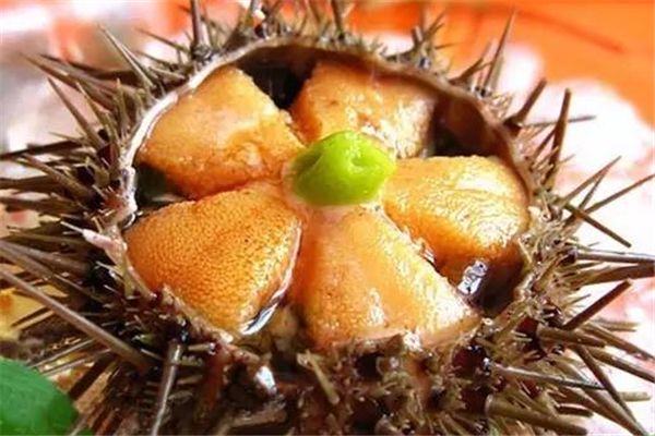 海膽的黃是什么部位 海膽黃發(fā)黑還能吃嗎 海膽的黃是什么部位 海膽黃發(fā)黑還能吃嗎