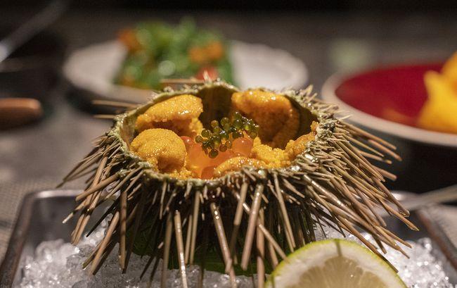 海膽蒸蛋事件 海膽蒸蛋事件最新進(jìn)展 海膽蒸蛋事件 海膽蒸蛋事件最新進(jìn)展