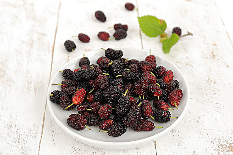 桑葚放一夜還能吃嗎 沒(méi)吃完的桑葚怎么保存 桑葚放一夜還能吃嗎 沒(méi)吃完的桑葚怎么保存