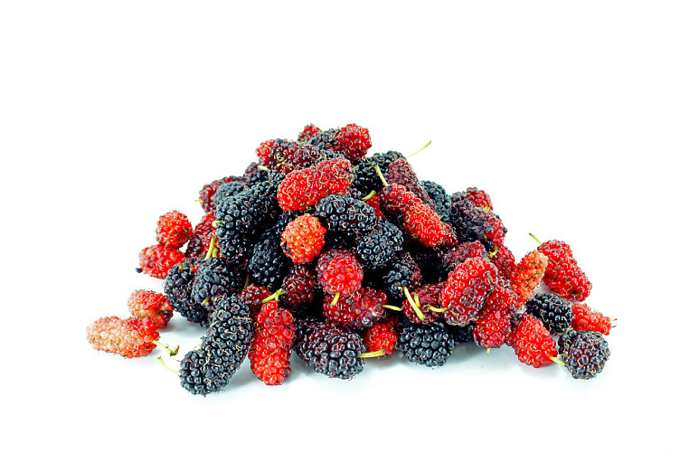 桑葚子有什么營(yíng)養(yǎng)價(jià)值 桑葚子怎么清洗才干凈 桑葚子有什么營(yíng)養(yǎng)價(jià)值 桑葚子怎么清洗才干凈