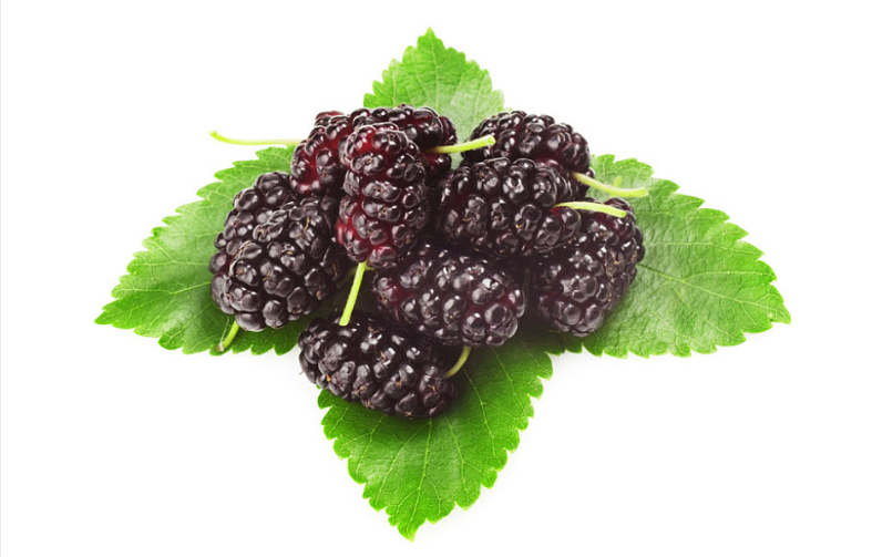 桑葚放一夜還能吃嗎 沒(méi)吃完的桑葚怎么保存 桑葚放一夜還能吃嗎 沒(méi)吃完的桑葚怎么保存