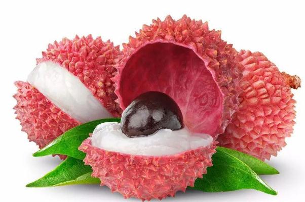 荔枝是熱帶水果嗎 荔枝是發(fā)物水果嗎 荔枝是熱帶水果嗎 荔枝是發(fā)物水果嗎