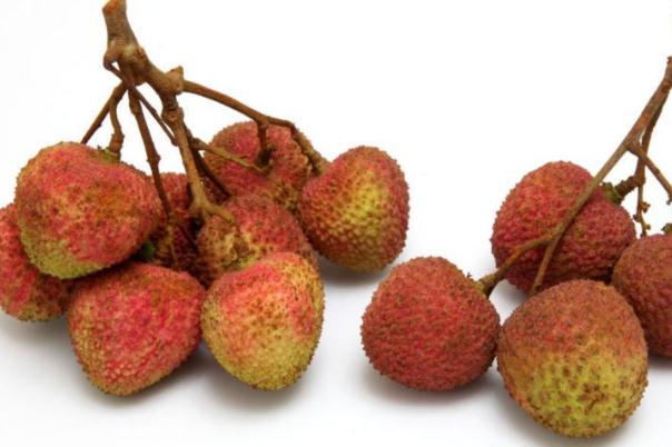 荔枝多吃會(huì)上火嗎 如何吃荔枝不上火 荔枝多吃會(huì)上火嗎 如何吃荔枝不上火