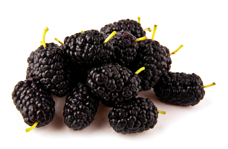 黑桑葚干多少錢一斤 黑桑葚干的副作用 黑桑葚干多少錢一斤 黑桑葚干的副作用