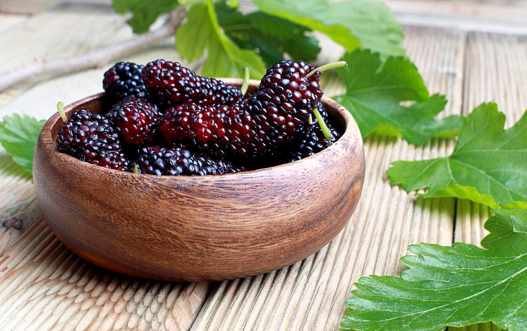 黑桑葚干一天吃多少最好 黑桑葚干的最佳吃法 黑桑葚干一天吃多少最好 黑桑葚干的最佳吃法