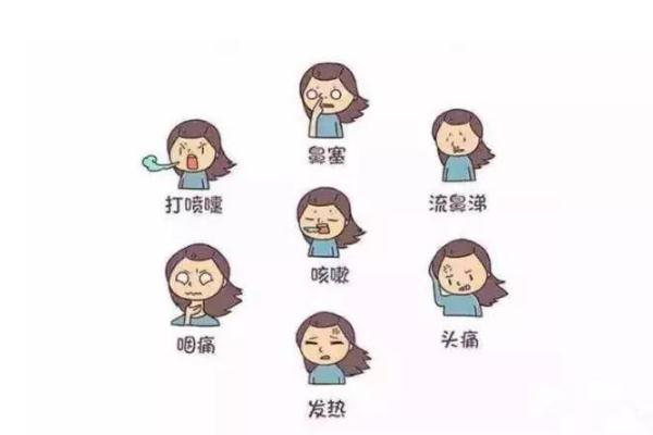 流感病毒分為幾型 流感病毒潛伏期 流感病毒分為幾型 流感病毒潛伏期