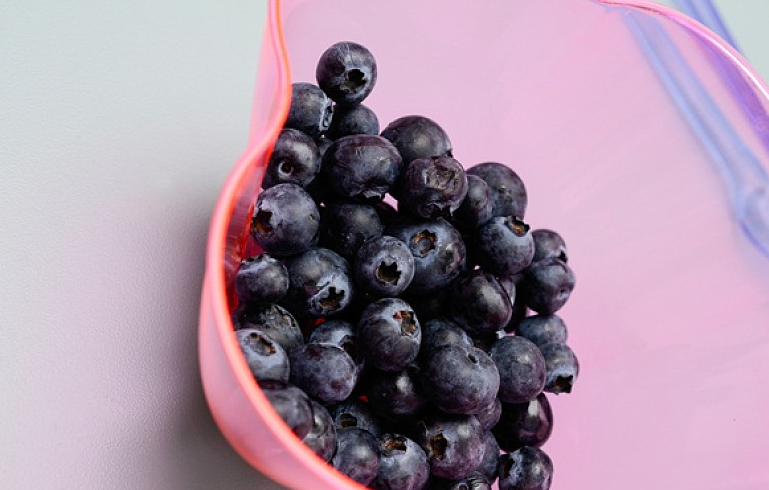 越橘的功效與作用 越橘的食用方式和注意事項 越橘的功效與作用 越橘的食用方式和注意事項