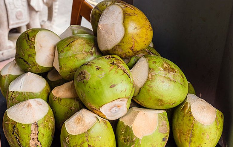 泰國奶椰的功效與作用 泰國奶椰的食用方式和注意事項(xiàng) 泰國奶椰的功效與作用 泰國奶椰的食用方式和注意事項(xiàng)