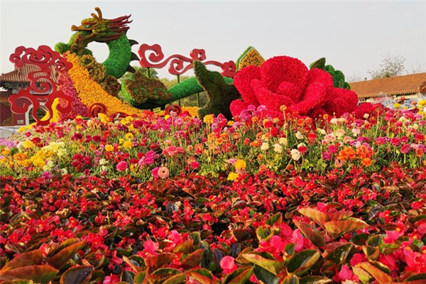 五一全國賞花地圖 五一去哪賞花好 五一全國賞花地圖 五一去哪賞花好