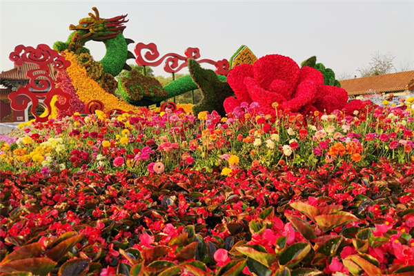 五一全國(guó)賞花地圖 五一去哪賞花好