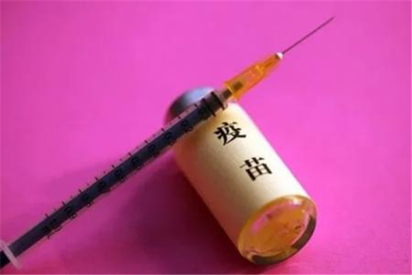 新冠疫苗一針兩針和三針的區(qū)別 新冠疫苗第一針和第二針間隔 新冠疫苗一針兩針和三針的區(qū)別 新冠疫苗第一針和第二針間隔