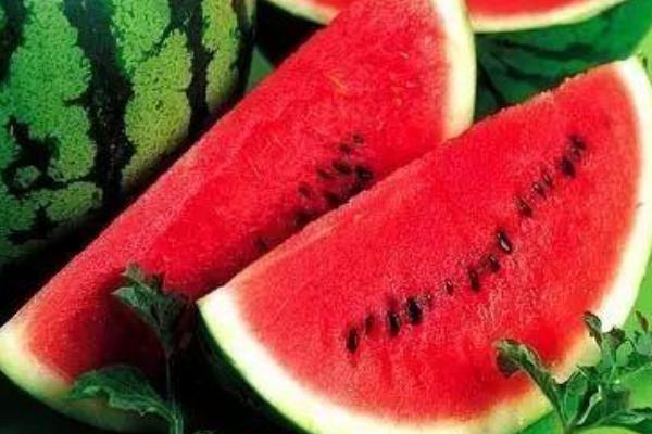 吃西瓜會(huì)拉紅色大便嗎 吃西瓜會(huì)長(zhǎng)痘痘嗎 吃西瓜會(huì)拉紅色大便嗎 吃西瓜會(huì)長(zhǎng)痘痘嗎