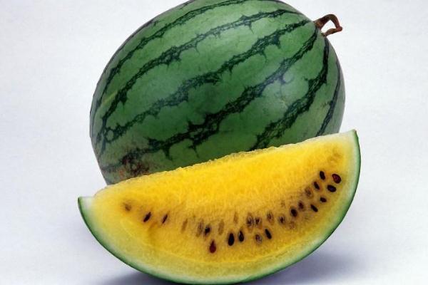 西瓜可以放多長(zhǎng)時(shí)間 什么樣的西瓜耐儲(chǔ)存 西瓜可以放多長(zhǎng)時(shí)間 什么樣的西瓜耐儲(chǔ)存