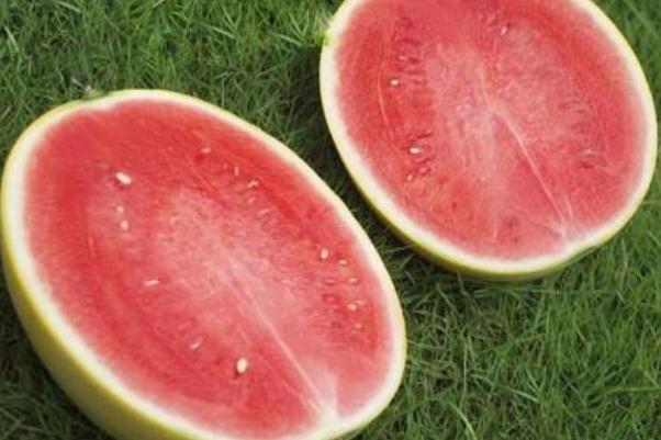 西瓜可以放多長(zhǎng)時(shí)間 什么樣的西瓜耐儲(chǔ)存 西瓜可以放多長(zhǎng)時(shí)間 什么樣的西瓜耐儲(chǔ)存