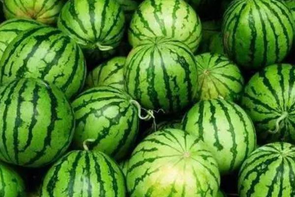 西瓜的作用與功效 西瓜的營(yíng)養(yǎng)價(jià)值是什么 西瓜的作用與功效 西瓜的營(yíng)養(yǎng)價(jià)值是什么