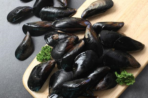 海虹是青口貝嗎 海虹是動物還是植物 海虹是青口貝嗎 海虹是動物還是植物